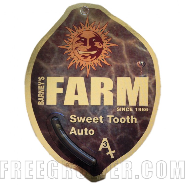 Auto Sweet Tooth fem